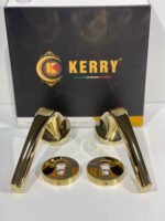 Kerry 300-711 Rozet Qapı Qolu – Premium - Image 16